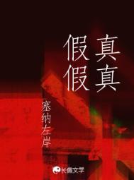 真真假假真亦假 假假真真假亦真