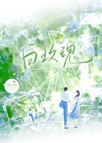 沉香屑by白玫瑰全文免费阅读