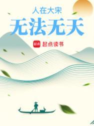 人在大宋无法无天无错版本