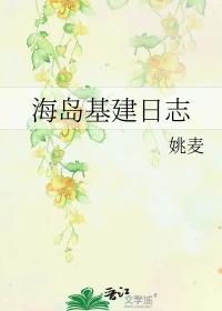 海岛基建日志乐文