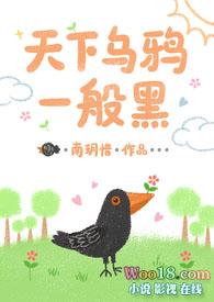 天下乌鸦一般黑打一字