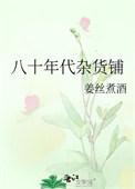 八十年代杂货铺宝书网
