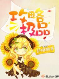 攻略极品rb