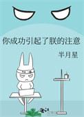 你成功引起了朕的注意免费阅读