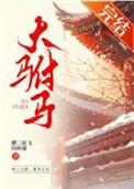 大驸马案