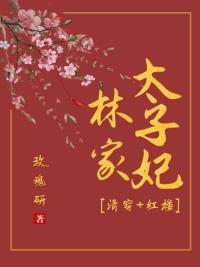 清穿红楼林家太子妃