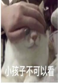 圈养作者折枝