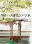 冲喜小夫郎他又乖又软南柯