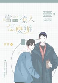 当npc好不好