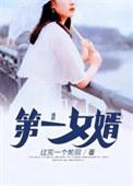 第一女婿全集免费