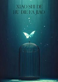 消失的蝴蝶发夹免费阅读