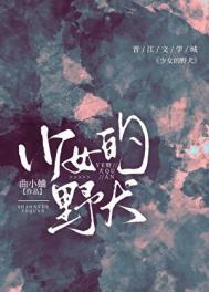 少女的野犬番外篇