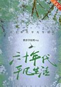 六十年代平凡生活讲的什么