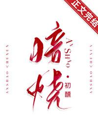 暗烧txt百度
