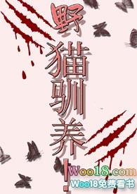 野猫驯养宁小暖