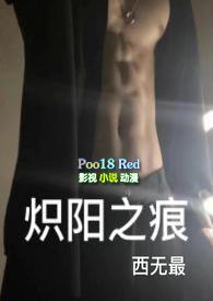 炽阳之痕txt资源