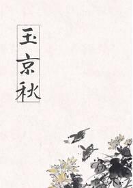 玉京箫txt