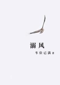 溺风by无删减笔趣阁