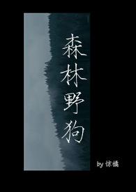 森林野狗全文免费阅读