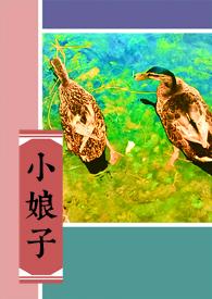 小娘子不好惹开机