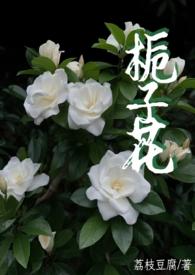 栀子花gl