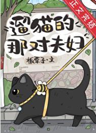 遛猫太难了