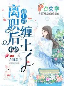 离职后我被前上司缠上无广告