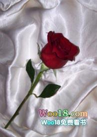 和联姻对象做py