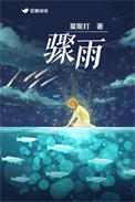 骤雨中的阳光 电视剧