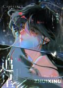 追星是几次元