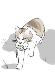 十八线男艺人照片