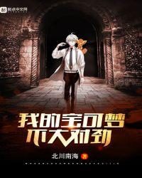 我的宝可梦是什么意思啊