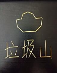 我家垃圾山上全是宝txt