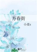 万春街片区概念性规划