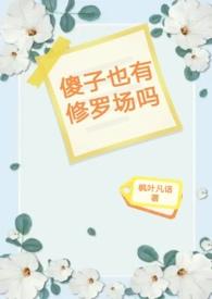 傻子也有未来