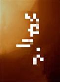 笼中月晋江