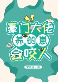 豪门大佬揣了我的崽之后