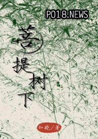 菩提树下的下一句是什么