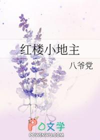 红楼小透明悠闲生活最新章节