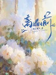 离婚之前TXT鸽子飞升