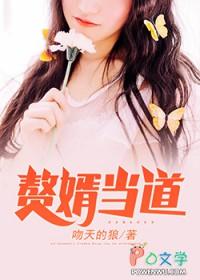 赘婿当道TXT
