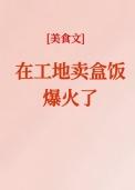 在工地卖盒饭爆火了美食笔趣阁