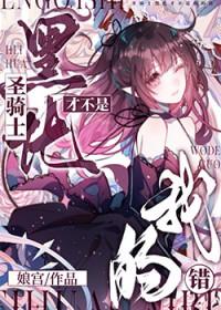 圣骑士黑化才不是我的错剧透