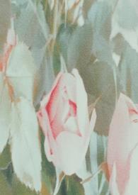 谁来拯救她的思想