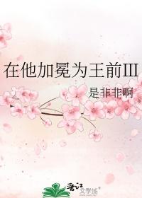 在他加冕为王前