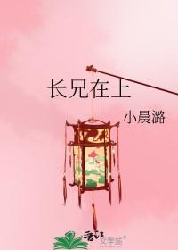 兄长在上无错