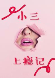 小三上瘾记继续阅读