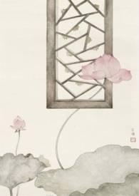 愿我如星君如月晋江