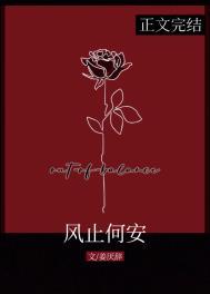 风止何安意思