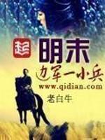 明末边军一小兵免费读